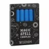 Dunkelblaue "Weisheit" Hexenkerzen 12 St. -Classic Horror Speichern dunkelblaue weisheit zauberkerzen dunkelblaue weisheit hexenkerzen blue wisdom spell candles 53141 002