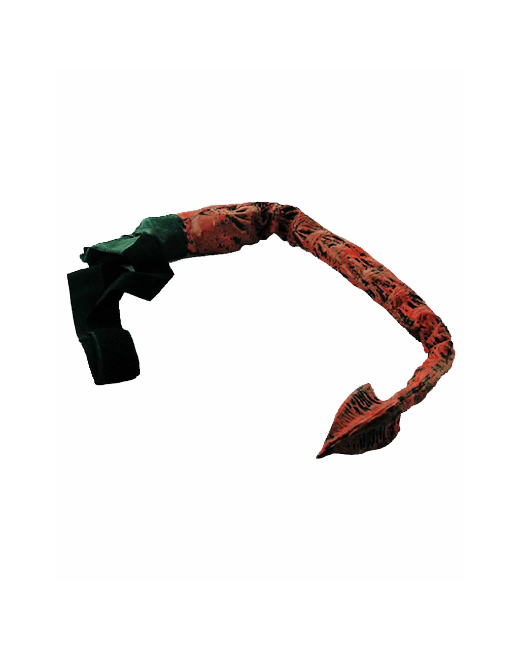 Flexibler Teufelsschwanz 4 Flexibler Teufelsschwanz – Bild 2