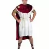 Herren Kostüm Spartacus -Classic Horror Speichern spartacus kostuem fuer herren roemischer gladiator verkleidung fasching 36137 119a1ff176
